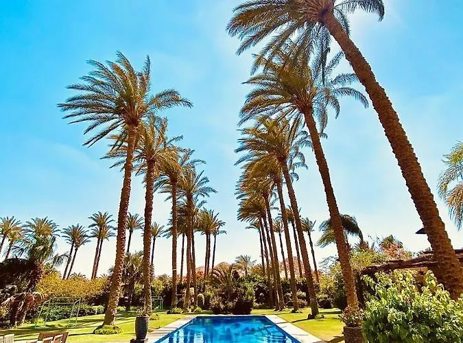 Abu Sir Pyramids And Palm View Villa