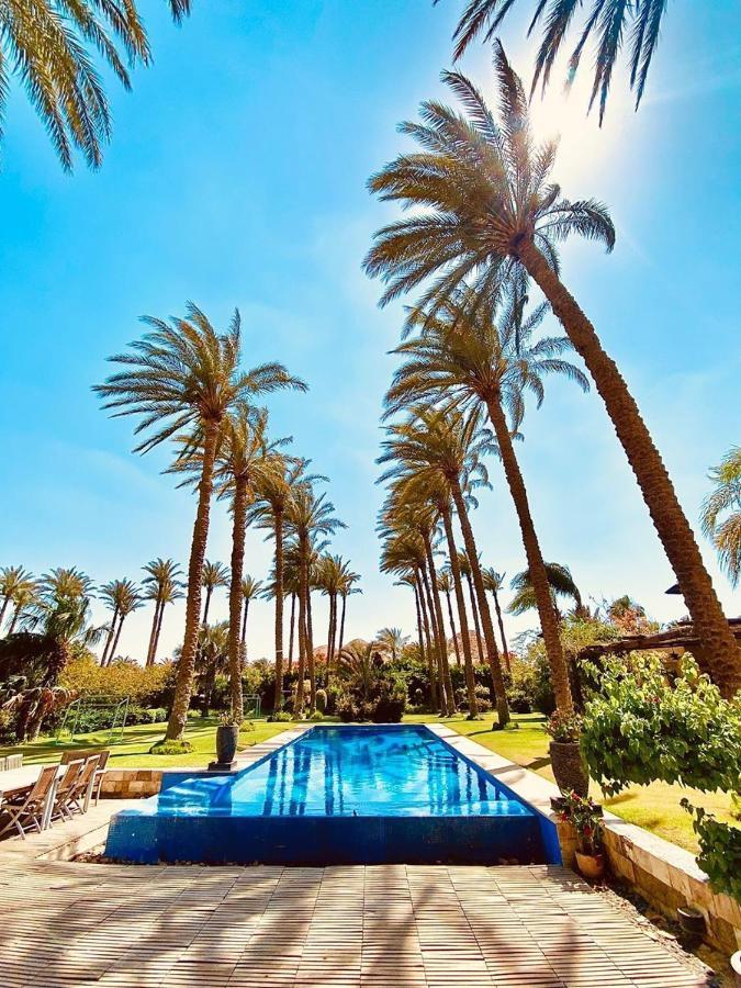 Abu Sir Pyramids And Palm View *