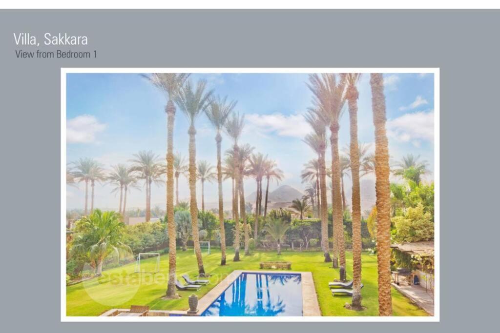 Abu Sir Pyramids And Palm View