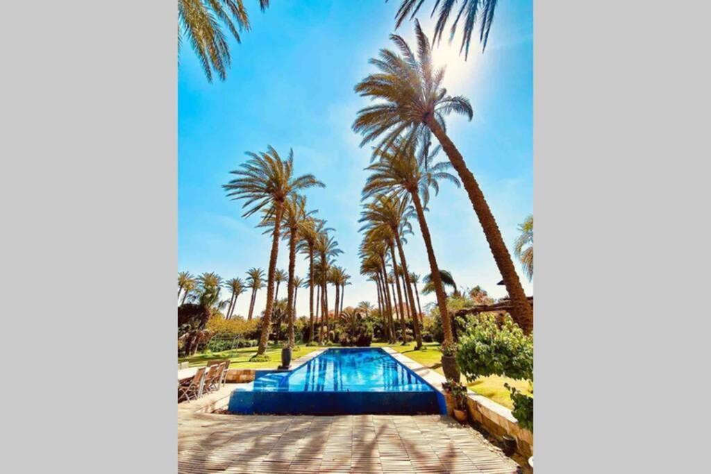 Abu Sir Pyramids And Palm View Villa *